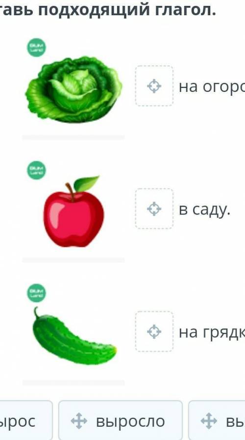 Вставьте подходящий глагол на огороде в саду на грядке вырос выросло выросла ​