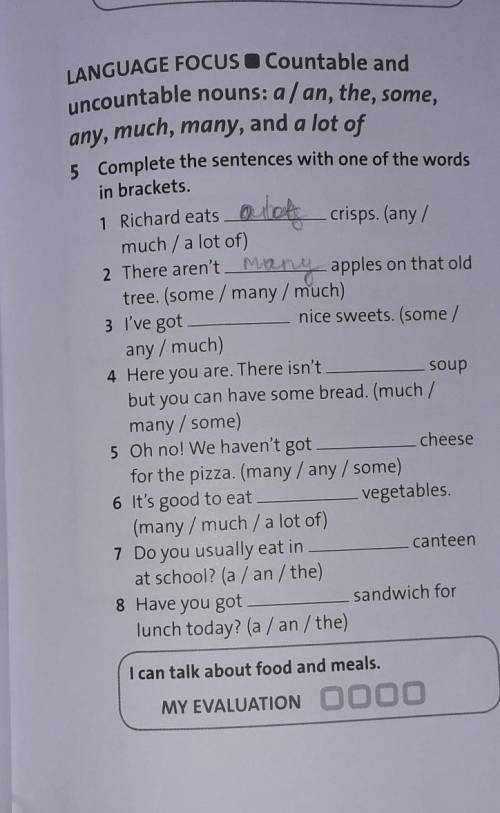 LANGUAGE FOCUS Countable and uncountable nouns: a/an, the, some,any, much, many, and a lot of5 Compl