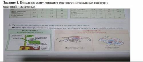 дайте нормальный овет! Задание на скриншоте ниже