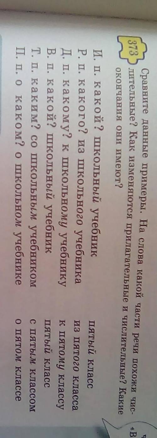 Упр 373 познакоьтесь с изменнением прилагательных по падежам стр 33, таблица стр 12​