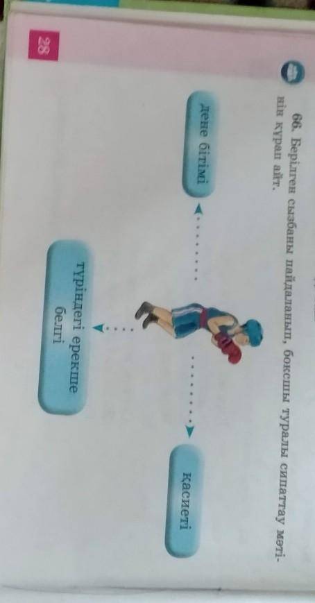 66. Берілген сызбаны пайдаланып, боксшы туралы сипаттау мәтінін кұрап айт. дене бітімікасиетітүрінде