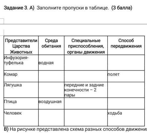 Заполните пропуски в таблице ​