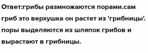 Каковы особенности размножения грибов?