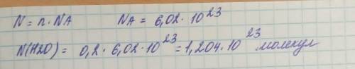 Какое число молекул содержится в следующих количествах веществ 0,2 моль воды. ​