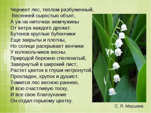 найди определяемое слово причасный оборот. ДО СЛОВ ПРОХЛАЖДЕН, ХРУПОК И ДУШИСТ.