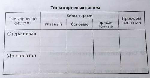 Рассмотрите гербарные экземпляры или проростки предлагаемых вам растений отберите сначала растения с