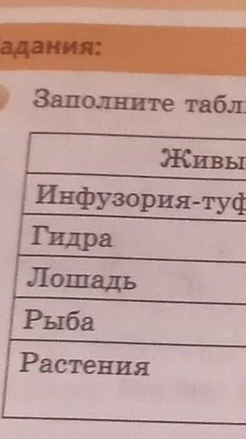 Заполните таблицу в тетради. Живые организмы: Инфузория-туфелька ГидраЛошадьРыбаРастенияТранспорт пи