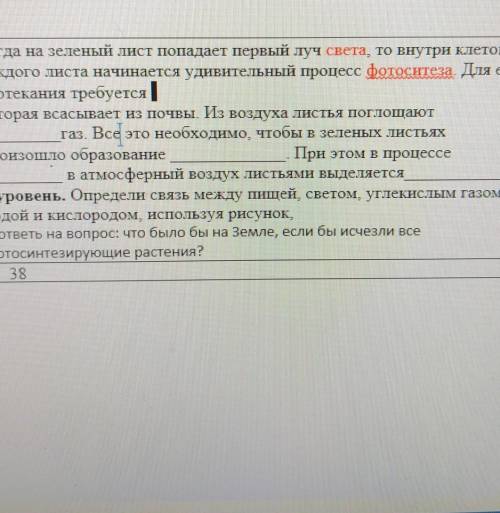 Когда на зеленый лист попадает первый луч света, то внутри клеток каждого листа начинается удивитель