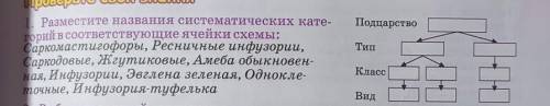 через 15 мин сдавать..​