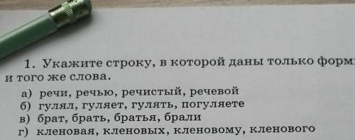 1. Укажите строку, в которой даны только формы одного и того же слова.а) речи, речью, речистый, рече