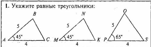 Укажите равные треугольники:​