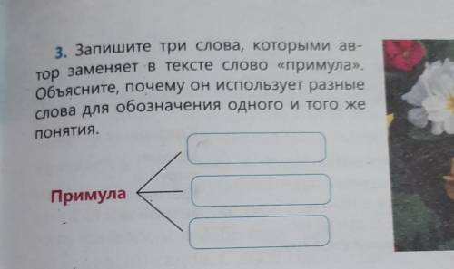 3. Запишите три слова, которыми ав- тор заменяет в тексте слово «примула»,Объясните, почему он испол