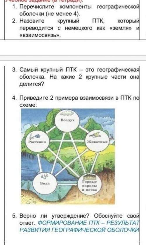 можете только без шуток ​