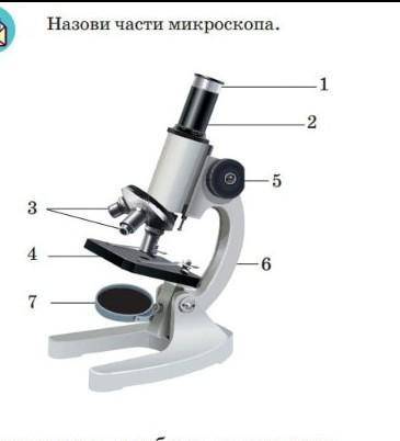 Назовите части микроскопа ​