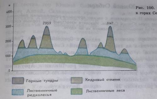 Какие природные комплексы Северо-восточной Сибири показаны на профиле!​