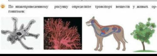 2.По рисунку опрелелить транспорт веществму живых организмов​