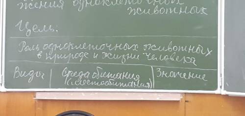 БУДУ ОЧЕНЬ БЛАГОДАРНАЯ, ТАБЛИЦА РОЛЬ ОДНОКЛЕТОЧНЫХ ЖИВОТНЫХ В ПРИРОДЕ И ЖИЗИНИ ЧЕЛОВЕКА