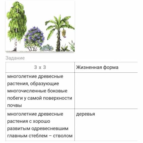 (Больше у меня нет) Рассмотрите таблицу Жизненные формы растений и вставьте пропущенные слова в пу