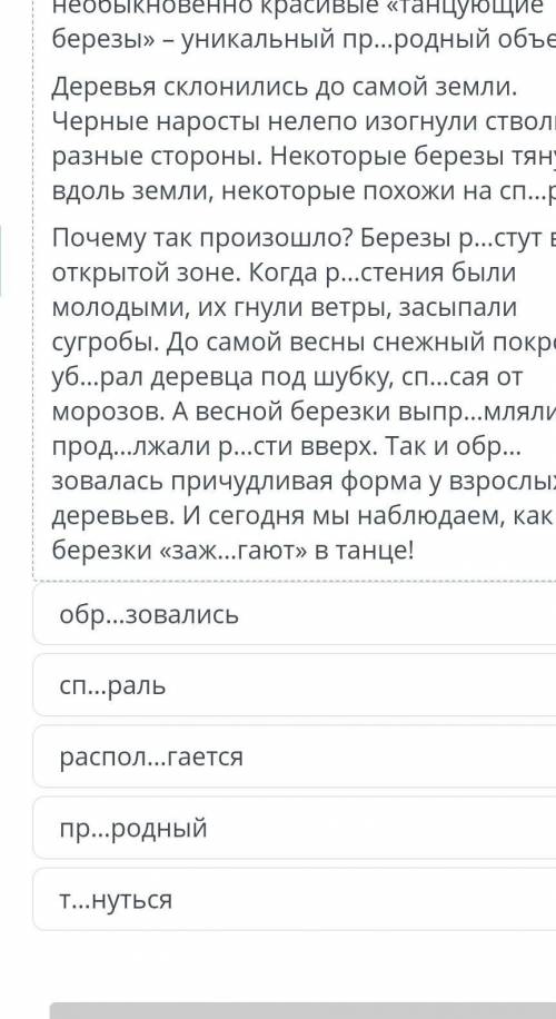 Танцующие берёзы заповедника Бурабай русский язык онлайн мектеп​