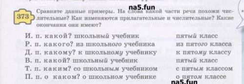 1)Стр. 33, Упр. 373 Сравните данные примеры. На слова какой части речи похожи числительные? Как изме