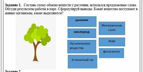 Составь схему обмена веществ у растении, используя предложеные слова. Обсуди результаты работы в пар