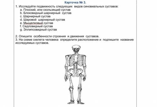 Используйте подвижность следующих видов синовиальных суставов