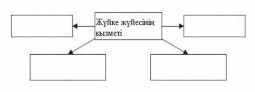 Задача 2 Заполните схему, показывающую функции нервной системы. перевод с картины: Нервной системы