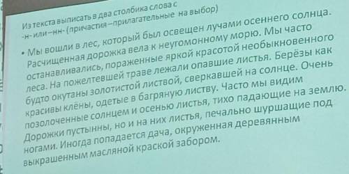 нужно написать главную мысль текста в тексте))) Про н или две нн не надо только главную мысль текста