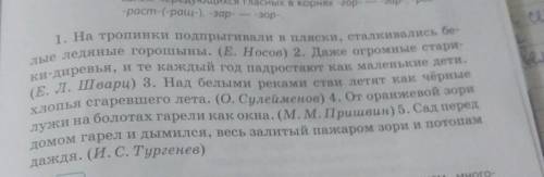 352Б. Найди слова с переносным значением, много- значные слова, сравнения. С какой целью они использ