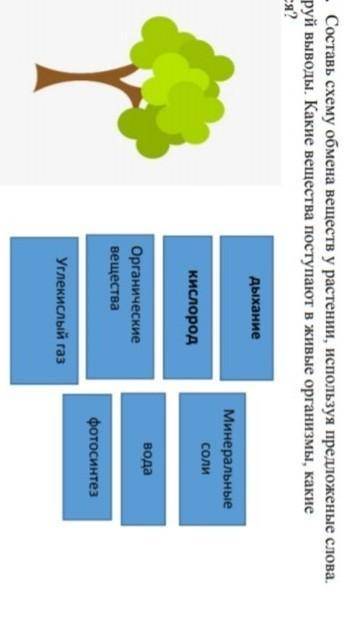 Задание 1. Составь схему обмена веществ у растении, используя предложеные слова. Сформулируй выводы.
