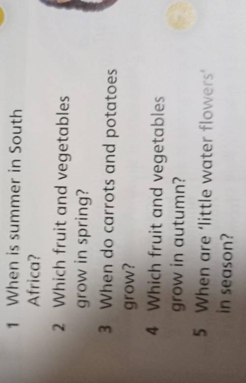 Answer the questions 1 When is summer in SouthAfrica?2. Which fruit and vegetablesgrow in spring?3 W