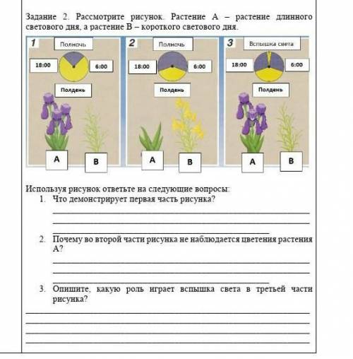 1. Что демонстрирует первая часть рисунка? 2. Почему во второй части рисунка не наблюдается цветения