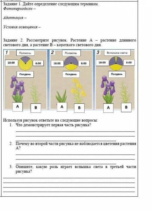 1. Что демонстрирует первая часть рисунка? 2. Почему во второй части рисунка не наблюдается цветения