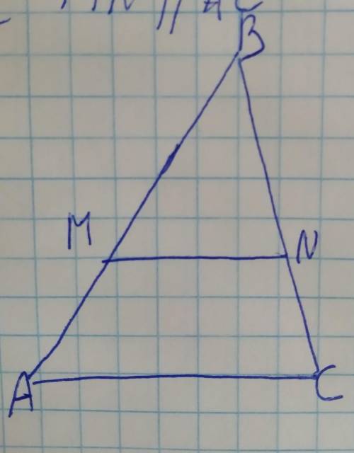 На рисунке MN||AC a) Докажите что треугольники BAC иBMN подобны. б) Найдите MN, если AM=6см, BM=8см,