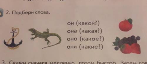 Говорят? В доме, где едят яблоки, не нужен врач.2. Подбери слова.он (какой?)она (какая?)оно (какое?)