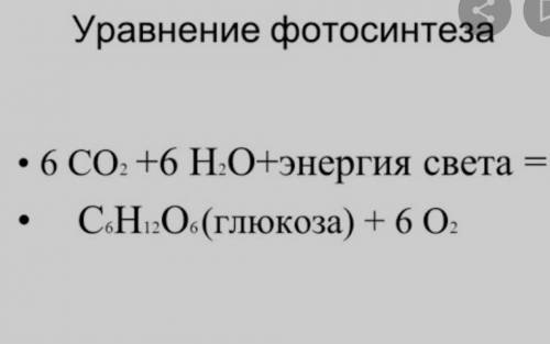 Назови формулу этого процесса фотосинтез. даю 15б​