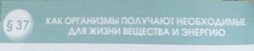 Как организмы получают необходимую для жизнедеятельности энергию конспект​