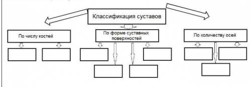 Допишите схему в тетрадь.​