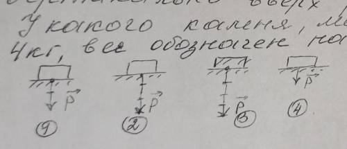 У какого каленя , масса каждого у которых 4 кг , вес обозначен на рисунке правильно​