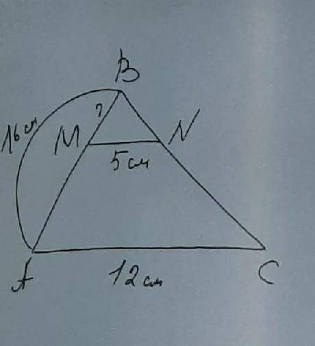 Найти Mпри AB=16 смMN=5 смAC=12 см​