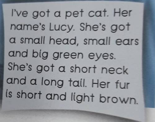 3 a) Write the opposites. 1 a long tail = a2 small wings3 long neck4 small feet5 short legs6 short h