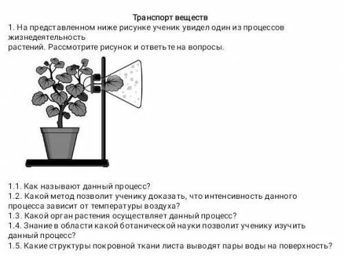 1. На представленном ниже рисунке ученик увидел один из несов жизнедеятельностьрастений. Рассмотрите