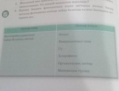 6. Бірінші бағанға фотосинтезге керек заттарды жазып, бағдар арқылы фотосинтез кезінде пайда болатын