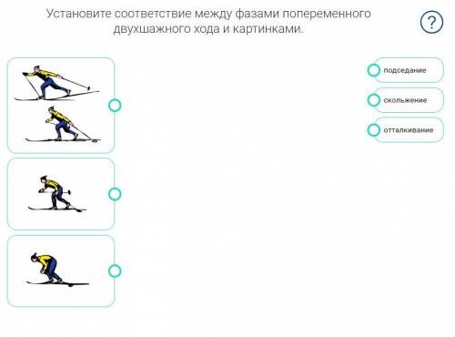 ответьте на вопросы в тесте по физре на лыжах и получите много