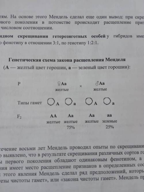 Учительница не объяснив как и что делать скинула это