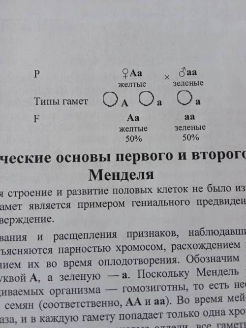 Учительница не объяснив как и что делать скинула это