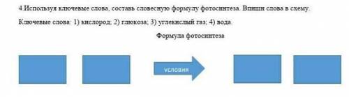 Построй «формулу» фотосинтеза. условия-+веществавеществаАМИРУ НУЖНА P.s Амир эт яЕСТЕСТВОЗНАНИЕ ЭТО