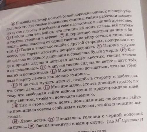 7. Укажите количество грамматических основ предложения за оре- делите, чем выражены грамматические о