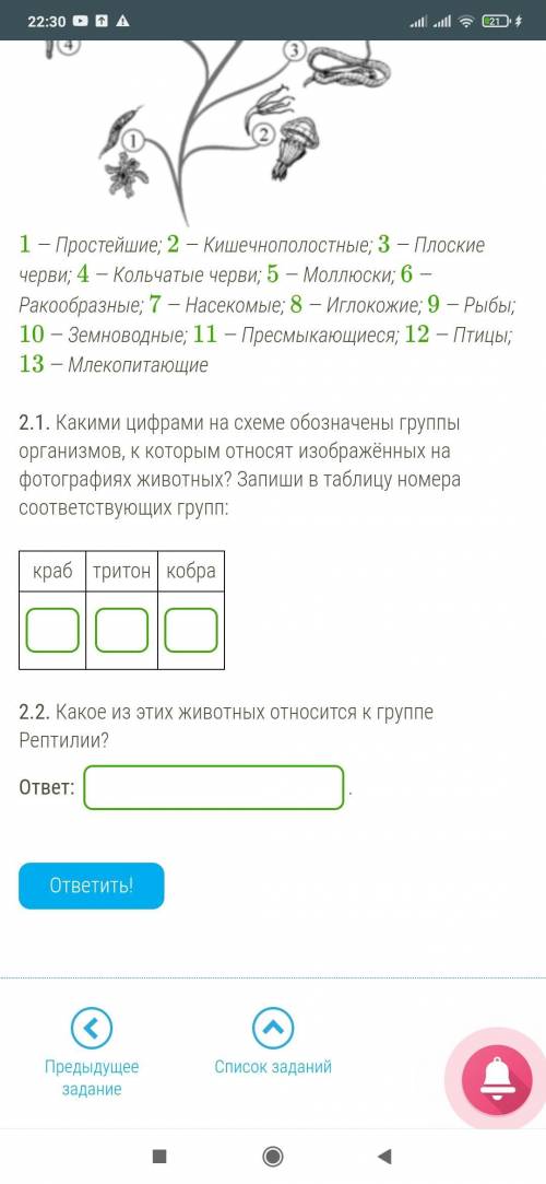 . Рассмотри изображения животных: краб, тритон, кобра. Подпиши их названия под соответствующими изоб