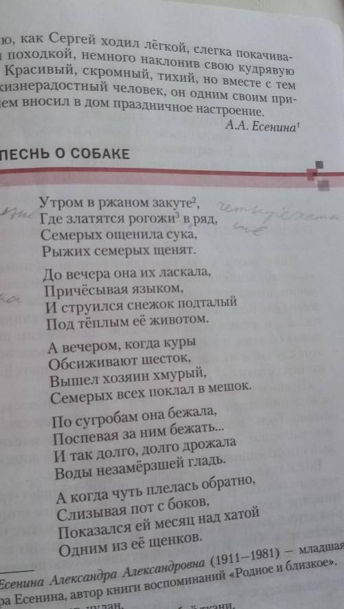 Составе план о стихотворение песнь о собакеМожно побыстрее